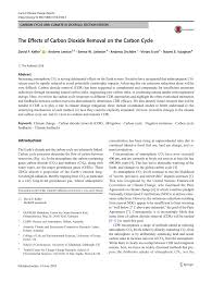 Orasul are multe de oferit, avand atractii turistice de tot felul, de la lacase de cult impresionante, pana la cluburi unde distractia e garantata pana in zori. Pdf The Effects Of Carbon Dioxide Removal On The Carbon Cycle