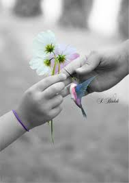 Beautiful Black And White With Color Splash Pin By Tricia On Farbtupfer Colour Splash Color Splash Photo Color Splash Photography Splash Photography