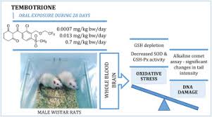 Anitta pre pa ra ( rana suzana dança e muitoo). Evaluation Of Oxidative Stress Responses And Primary Dna Damage In Blood And Brain Of Rats Exposed To Low Levels Of Tembotrione Chemosphere X Mol
