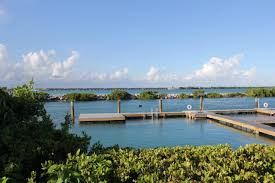 Welcome to the Family, Dolphin Connection!