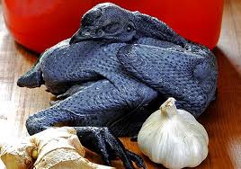 Gà ác da màu đen, trọng lượng nhỏ