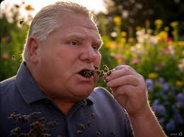 Doug Ford to launch re-election campaign in Windsor : r/windsorontario