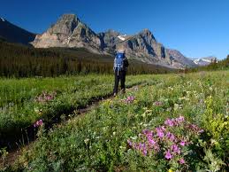 Cut Bank Area - Enjoy Your Parks