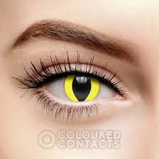 Подробные сведения о sweety hydrocor green kontaktlinsen contact lenses color cosmetic makeup lens. Yellow Cat S Eye 30 Day Coloured Contact Lenses Animal Snake Lens