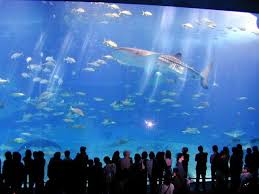 Giant Aquarium