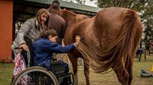 Online behavioral health benefits operate like their offline counterparts, providing that clients are taking part. Horses That Heal Equine Therapy An Alternative Treatment