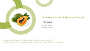 25 Ssw 25 Schwangerschaftswoche Tag 169 175