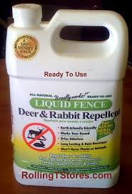 Make sure to apply on dry plants, as applying on wet foliage will dilute the solution and won't work as well. Deer Rabbit Repellent Garden Liquid Fence 1 Gal Rtu