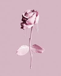 Where Did Your Passion For Photography Come From I Have Always Been Interested In Drawing And Making Things Pink Aesthetic Iphone Wallpaper Iphone Background