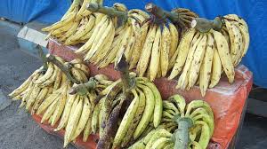 Maybe you would like to learn more about one of these? 10 Manfaat Pisang Tanduk Salah Satunya Cegah Kanker Darah Hot Liputan6 Com