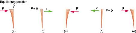 16 1 Hooke S Law Stress And Strain Revisited College Physics Openstax