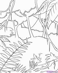 All these coloring sheets are chosen depending on their accuracy. Rain Forest Trees Coloring Page Coloring Home