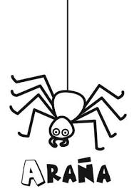 Araña Halloween Para Colorear