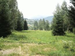 Profita de preturile avantajoase in vatra dornei in centru sau 3000 mp teren intravilan, saru dornei, parcul national calimani. Vanzare Teren Vatra Dornei Dorna Arini 547540