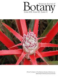 Image result for Cucumis aetheocarpus