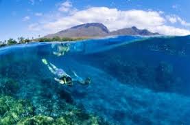 We did not find results for: Hawaii Seeks To Ban Reef Unfriendly Sunscreen Nature