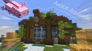 I have three axolotls in an enclosure that have been fine for days, but when i put . Minecraft Axolotl Aquarium Youtube