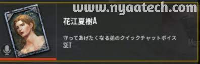 Active Sav Japanese Voice Chat For Pubg Mobile