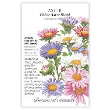 | meaning, pronunciation, translations and examples. Aster China Aster Blend Aster Seeds Heirloom Sustainable Organic Q8