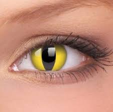 About 87% of these are contact lenses, 0% are eyeglasses frames, and 7% are contact lens cases. Cat Eye Crazy Colour Contact Lenses 1 Year Wear Beautifeye Co Uk