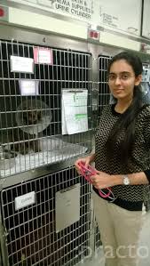 Includes the hand bath service plus trimming around the face and feet. Pet Grooming In Malad West Mumbai View Cost Book Appointment Online Practo