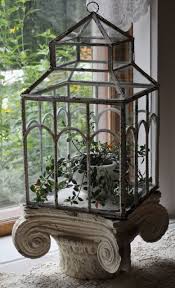 Hello I Bought A New Victorian Terrariums Victorian Greenhouses Terrarium