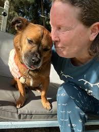 Good morning everyone From Angle and Tiny To My House From Your House  🐾❤🐾❤🌷🥰🖐