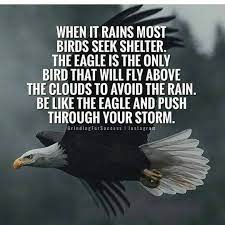 It simply uses the storm to lift it higher. Eagle Mentality Eagle Attitude Motivation Quotes Facebook