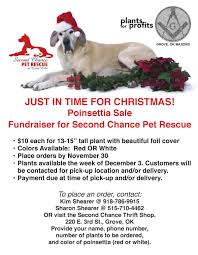 Help for lost, abused or neglected animals. Just In Time For Christmas