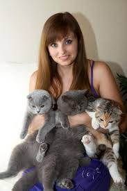 Scottish Fold Kittens For Adoption Cute Cats Pictures Scottish Fold Scottish Fold Kittens Cat Scottish Fold
