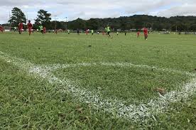 Wright of the seattle seahawks during the super bowl on feb. The Reason Why All Soccer Players Prefer Grass Over Turf Master Soccer Mind