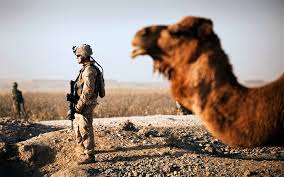 Learn about the best legendaries to craft for your protection warrior in shadowlands. Camels At War Defense Media Network
