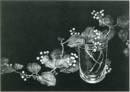 ayampeguesthouse.com