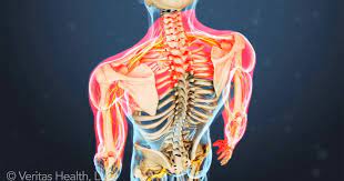 Pin On Health And Wellness