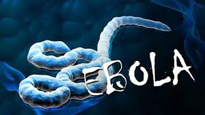 Kasus ini meningkat di tengah laporan bahwa mutasi virus corona yang sangat mudah menular ini terdeteksi di negara itu menyebar ke seluruh dunia. Wabah Ebola Kesebelas Di Kongo Dinyatakan Berakhir Health Liputan6 Com