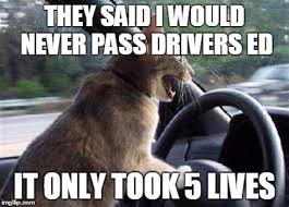 Caption memes or upload your own images to make custom memes. Driver Ed Memes