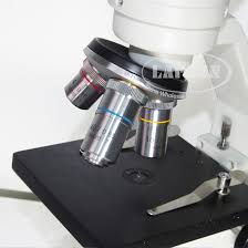 When contacting us your privacy will be strictly protected. 100x Microscope Pocket Microscope 100x