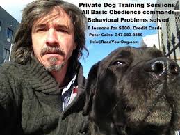 DogTraining #NYCDogtraining #BrooklynDogtraining #Brooklyn #NYC