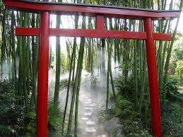 3000 pflanzen aus allen teilen der welt und viele skulpturen hat andre`heller in seinem park am gardasee mit diesen worten beschreibt andre` heller seinen garten,eine einladung für. Botanischer Garten Andre Heller