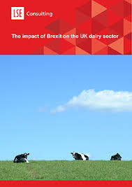 The Impact Of Brexit On The Uk Dairy Sector