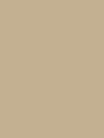 Khaki C3b091 Hex Color