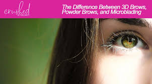 A community for professionals and consumers. The Difference Between 3d Brows Powder Brows And Microblading Crushed Vegan Aftercare