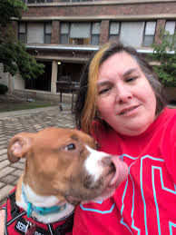 Introduction and photo of a dog at Westminster Kennel Club Dog Show