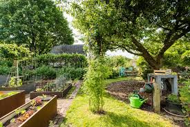 Unser Garten Vorher Nachher Der Kleine Horrorgarten Garten Naturgarten Gartengestaltung