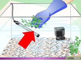 Alat tersebut digunakan untuk menyaring kotoran sehingga bisa menjernihkan air akuarium yang keruh. Cara Mengatasi Air Akuarium Yang Keruh Dengan Gambar Wikihow
