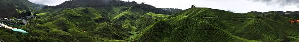 Kampung taman sedia adalah pusat pelancongan di cameron highlands yang mahsyur dengan kebun2 strawberry. Kampung Taman Sedia Muslim Cemetery Map Cameron Highlands Malaysia Mapcarta