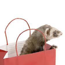 Some of these options include training varies by the type of technique that they use. Heartworm In Ferrets American Heartworm Society