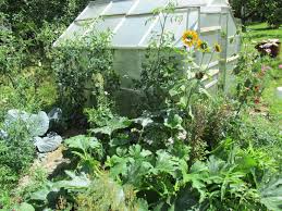 Unser Naturnaher Bio Gemusegarten Garten Naturnaher Garten Garten Anlegen