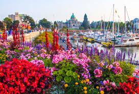 Victoria vision & eye care centre. 11 Things To Do In Victoria This March Tourism Victoria