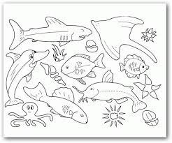 Imagenes Para Colorear Animales Del Mar Fotos O Imagenes Portadas Para Facebook Fish Coloring Page Animal Coloring Pages Ocean Coloring Pages